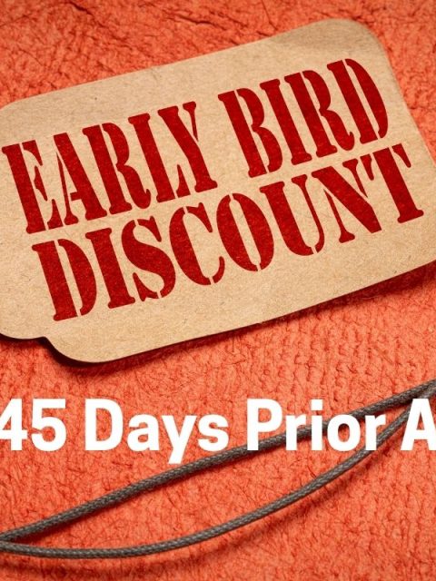 Early bird
